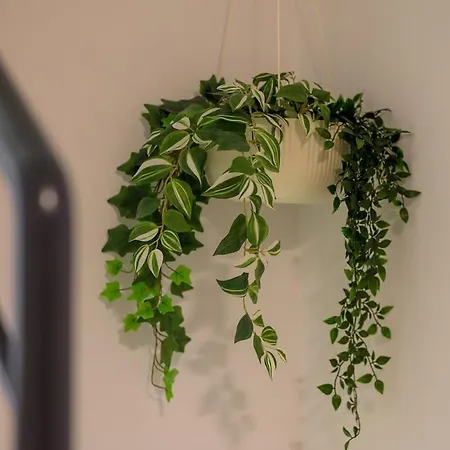 Perini By Istrialux *